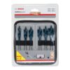 Bosch 6Pce Flat Wood Bit Set In